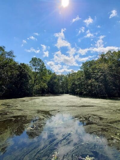 Connecticut Audubon Society - Fairfield, CT