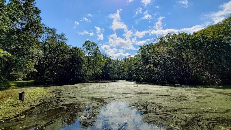 Connecticut Audubon Society - Fairfield, CT