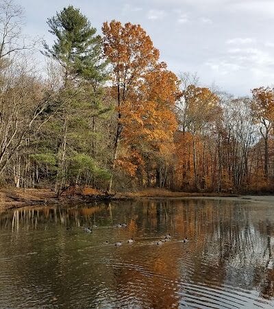 Connecticut Audubon Society - Fairfield, CT