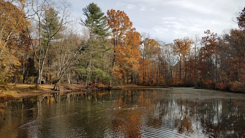 Connecticut Audubon Society - Fairfield, CT