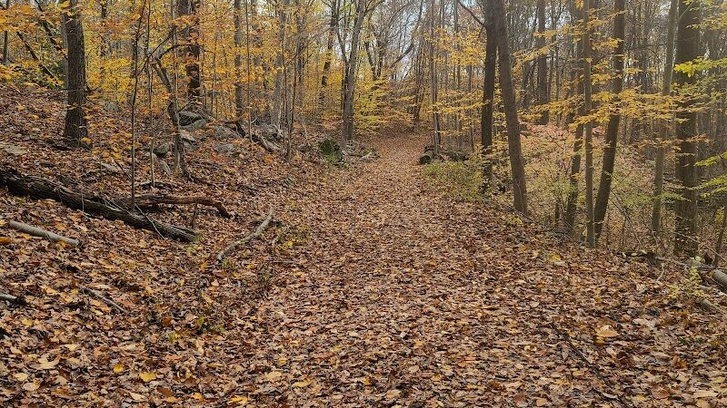 Grace Richardson Conservation Area - Fairfield, CT