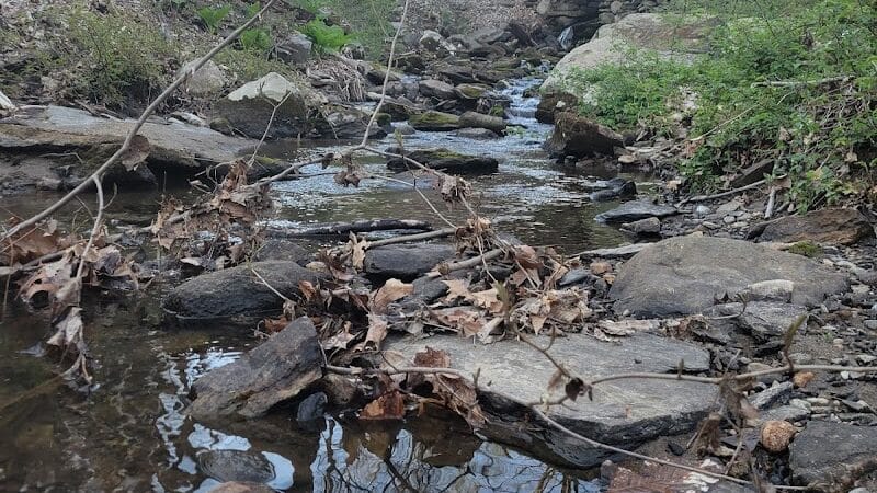 Grace Richardson Conservation Area - Fairfield, CT