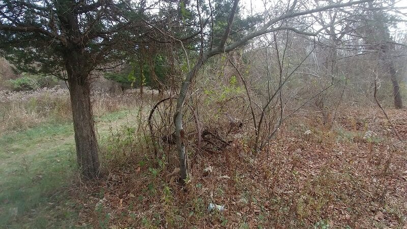 Grace Richardson Conservation Area - Fairfield, CT