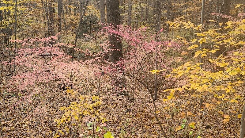 Grace Richardson Conservation Area - Fairfield, CT