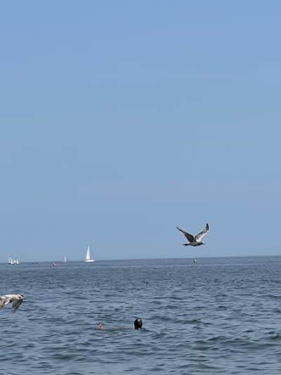 Jennings Beach - Fairfield, CT