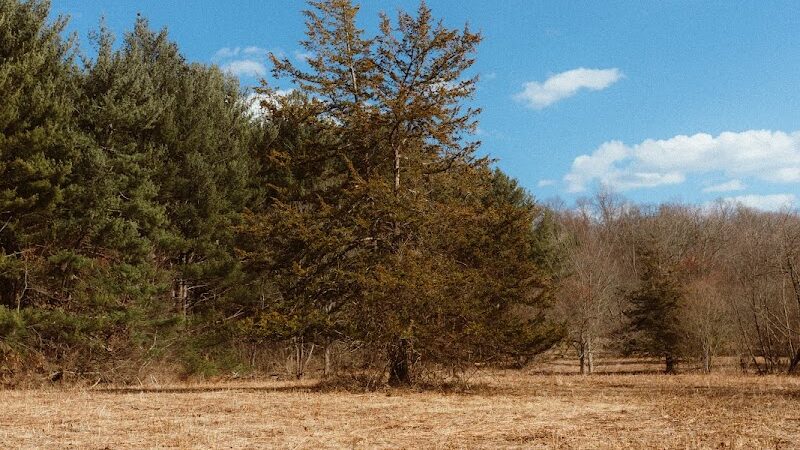 Lake Mohegan - Fairfield, CT