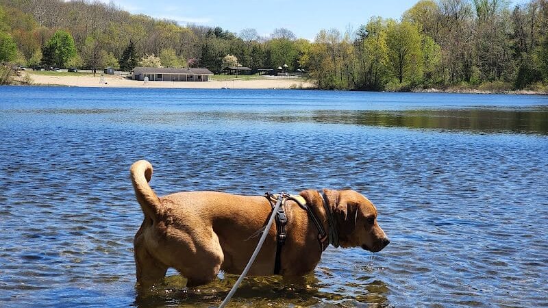 Lake Mohegan Recreational Area - Fairfield, CT