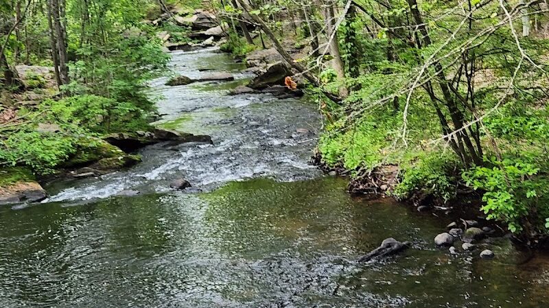Lake Mohegan Recreational Area - Fairfield, CT
