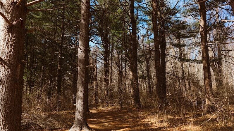 Lake Mohegan Recreational Area - Fairfield, CT