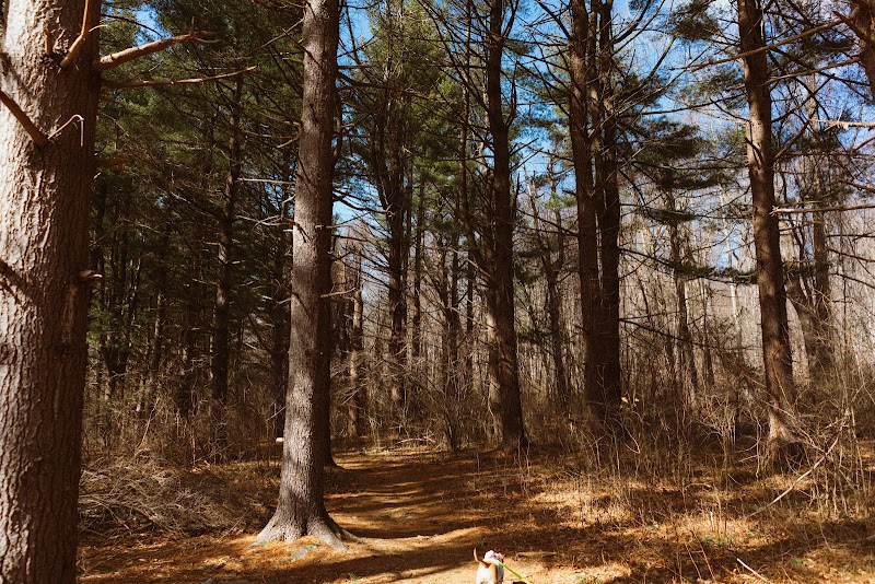 Lake Mohegan Recreational Area - Fairfield, CT