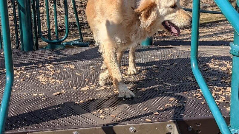 Lt Owen Fish Park - Fairfield, CT