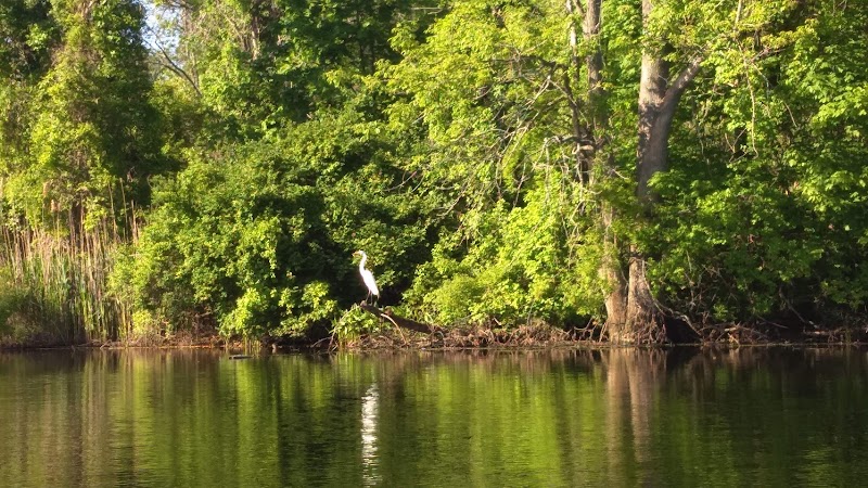 Old Fording Place - Fairfield, CT
