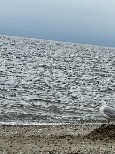 Penfield Beach - Fairfield, CT