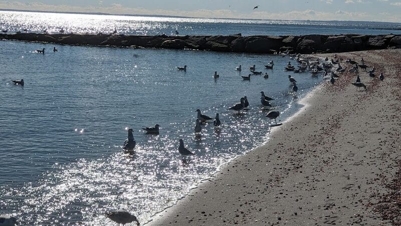 Penfield Beach - Fairfield, CT