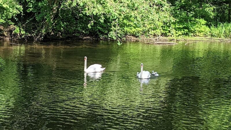 Perry's Mill Ponds - Fairfield, CT