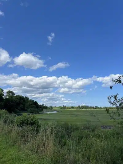 Pine Creek Recreation Plots - Fairfield, CT