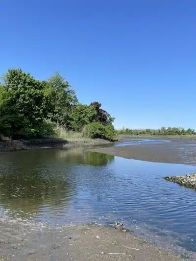 Pine Creek Recreation Plots - Fairfield, CT