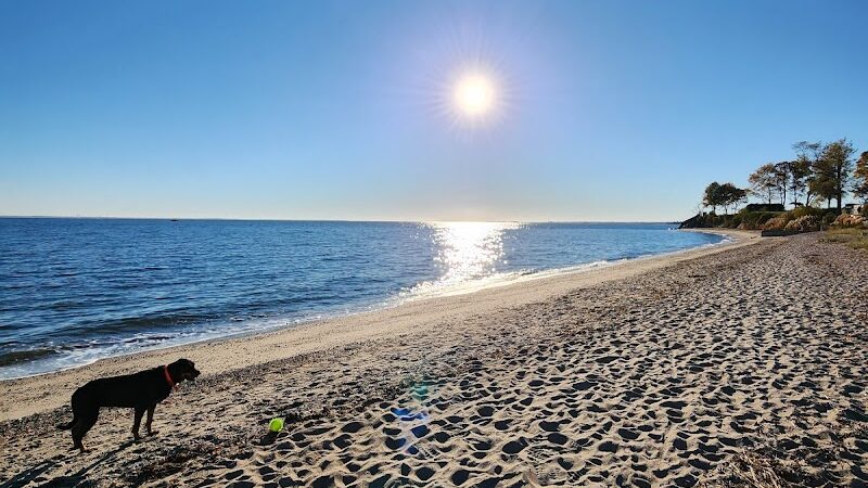South Pine Creek Beach - Fairfield, CT