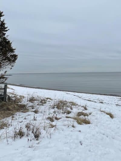 South Pine Creek Beach - Fairfield, CT