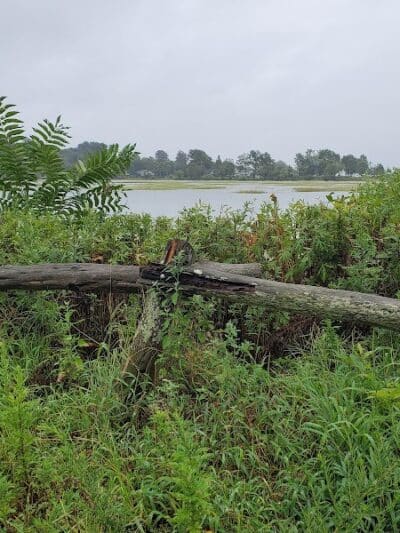 Ash Creek/Riverside Drive Open Space - Fairfield, CT