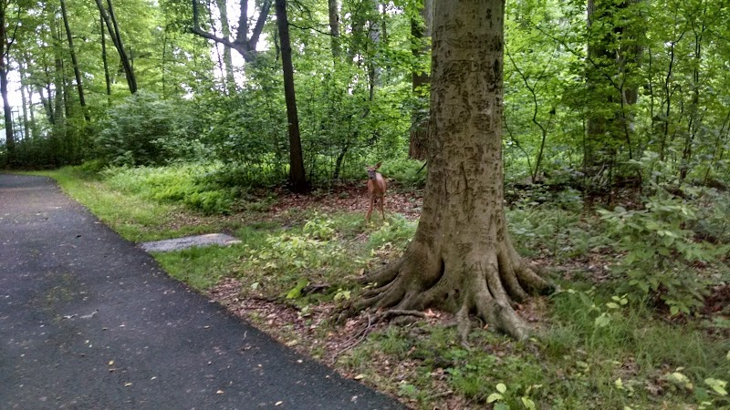 Fairfield Recreation - Fairfield, NJ