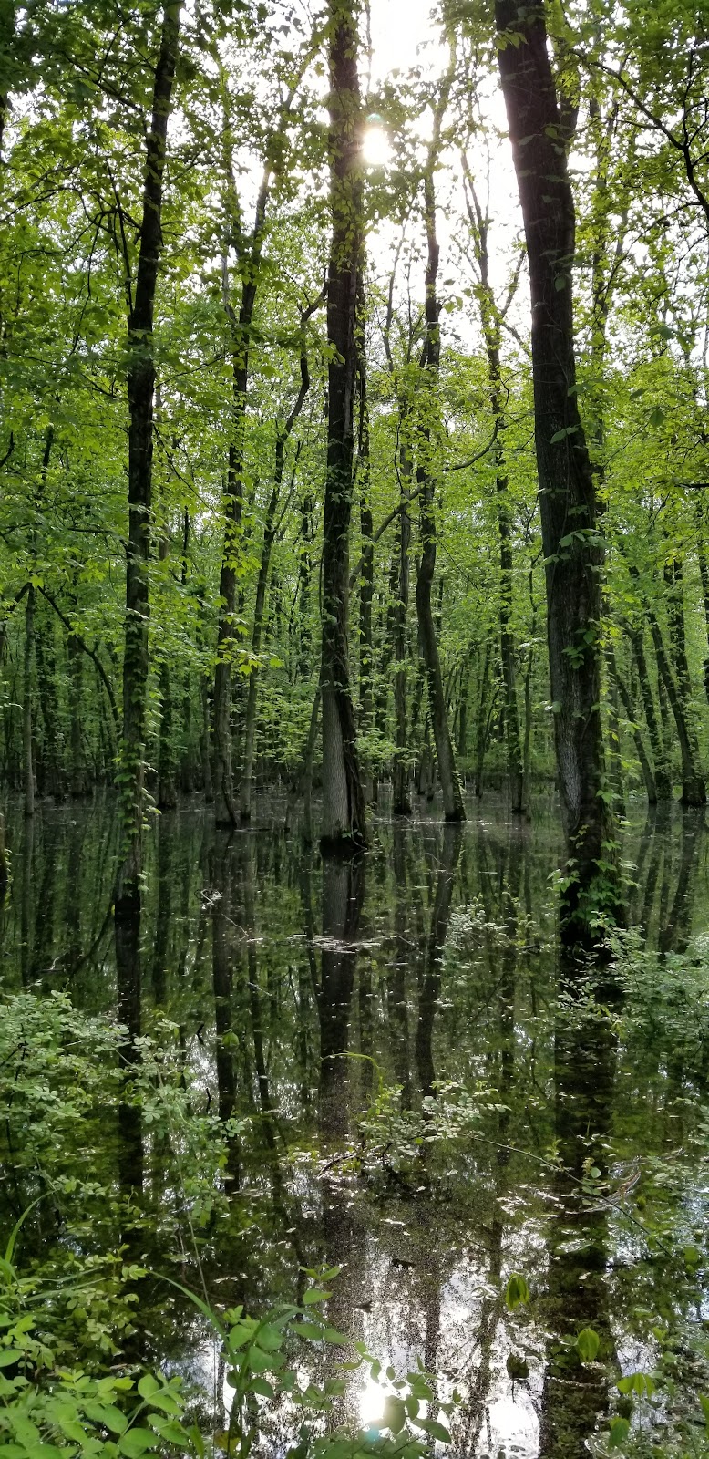 Great Piece Meadows - Fairfield, NJ