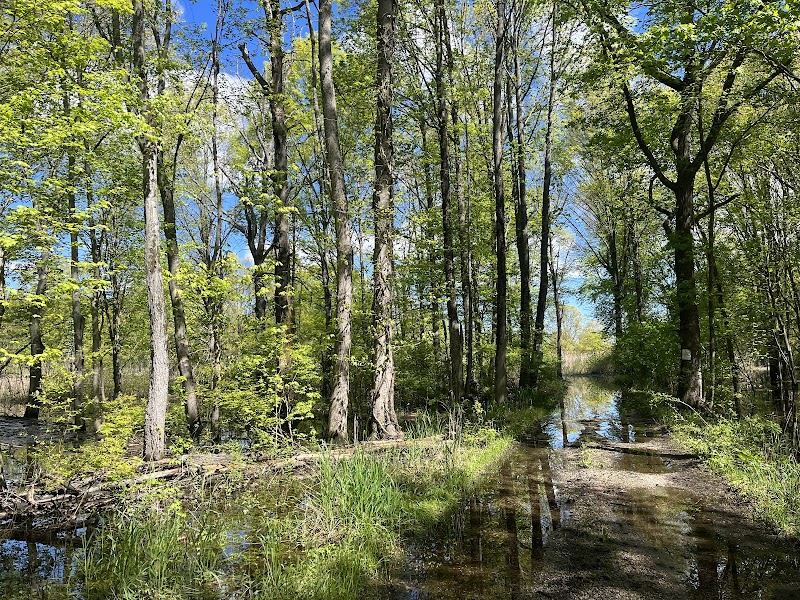 Great Piece Meadows - Fairfield, NJ