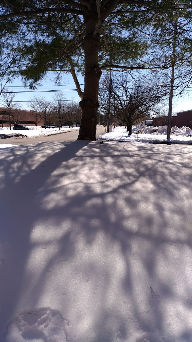 Great Piece Meadows - Fairfield, NJ