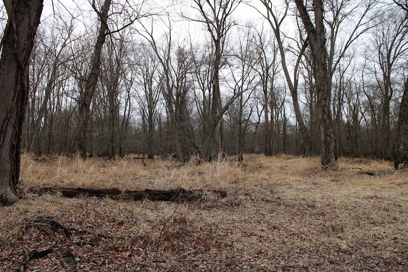 Great Piece Meadows - Fairfield, NJ