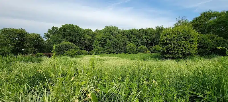 Mita Park - Fairfield, NJ