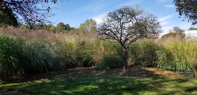 Mita Park - Fairfield, NJ