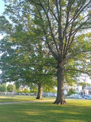 Kelly Park - Fall River, MA