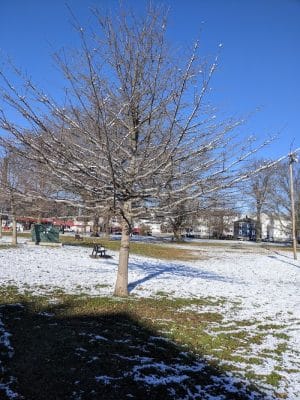 Kelly Park - Fall River, MA
