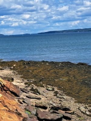 Mackworth Island State Park