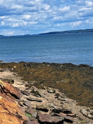 Mackworth Island State Park