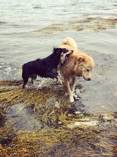 Mackworth Island State Park