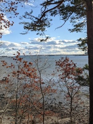 Mackworth Island State Park