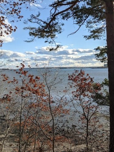 Mackworth Island State Park