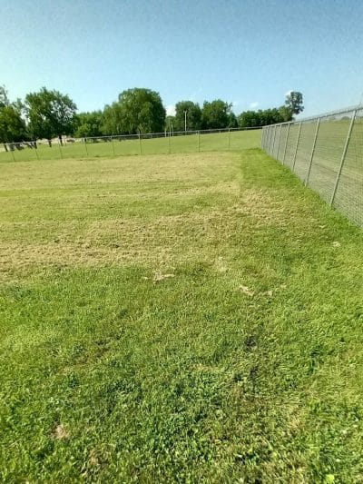 Dog Park - Farmington, MO