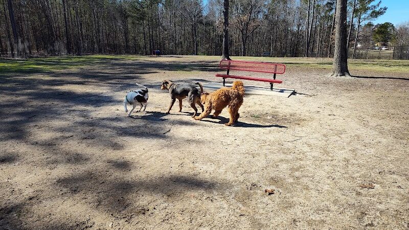 Bailey Lake Dog Park - Fayetteville, NC