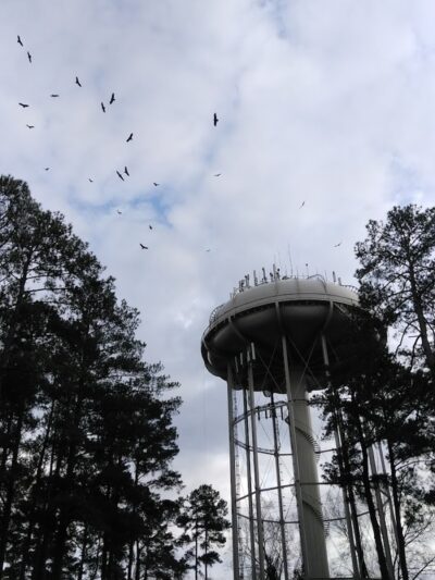 City Park - Fayetteville, NC