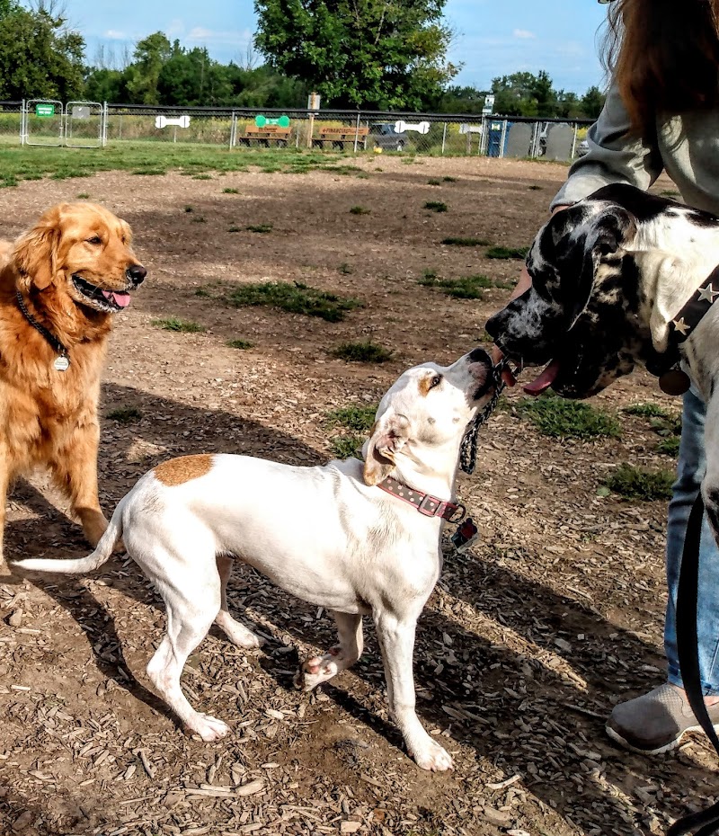 Thompson Road Regional Dog Park - Fenton, MI