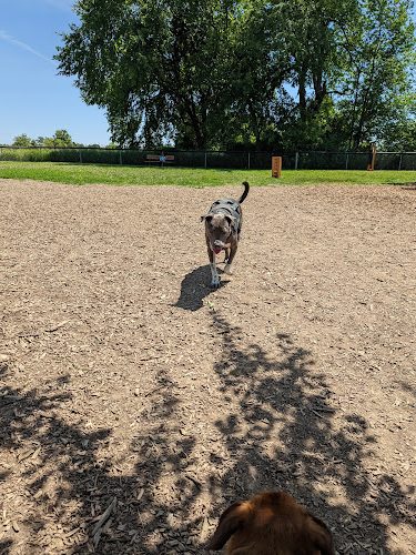 Thompson Road Regional Dog Park