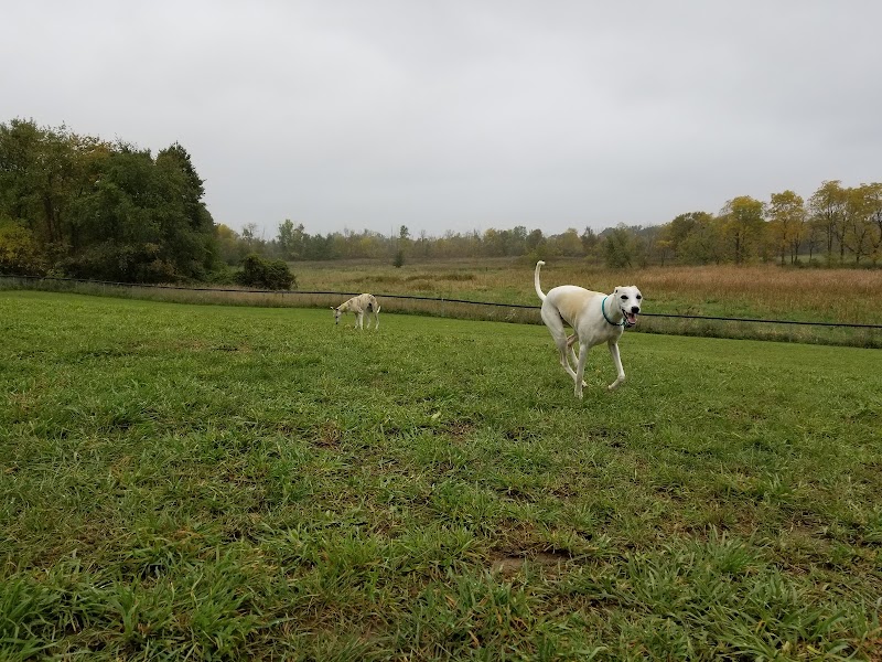 Thompson Road Regional Dog Park - Fenton, MI