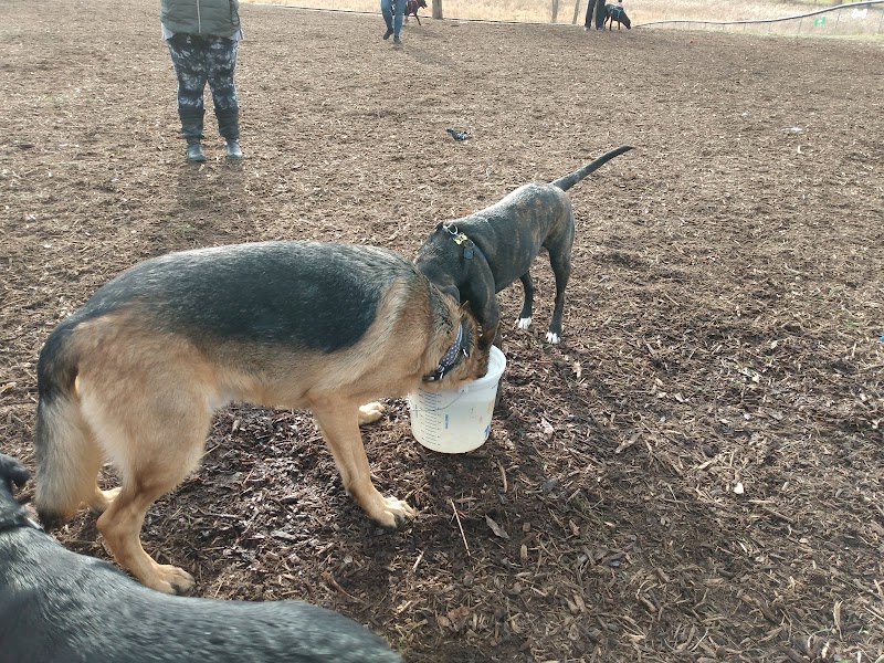Thompson Road Regional Dog Park - Fenton, MI