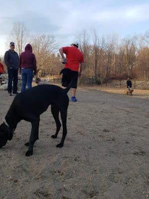 Fitchburg Dog Park