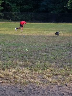 Fitchburg Dog Park