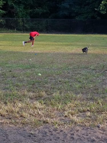 Fitchburg Dog Park