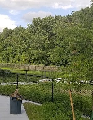 Fitchburg Dog Park