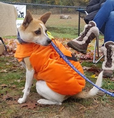Fitchburg Dog Park